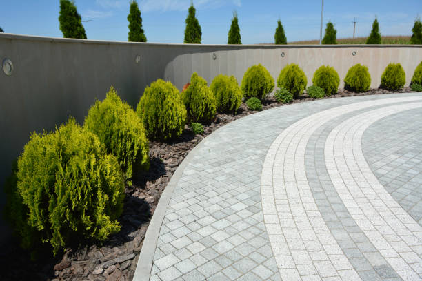 Best Driveway Repair Near Me  in St James, MN